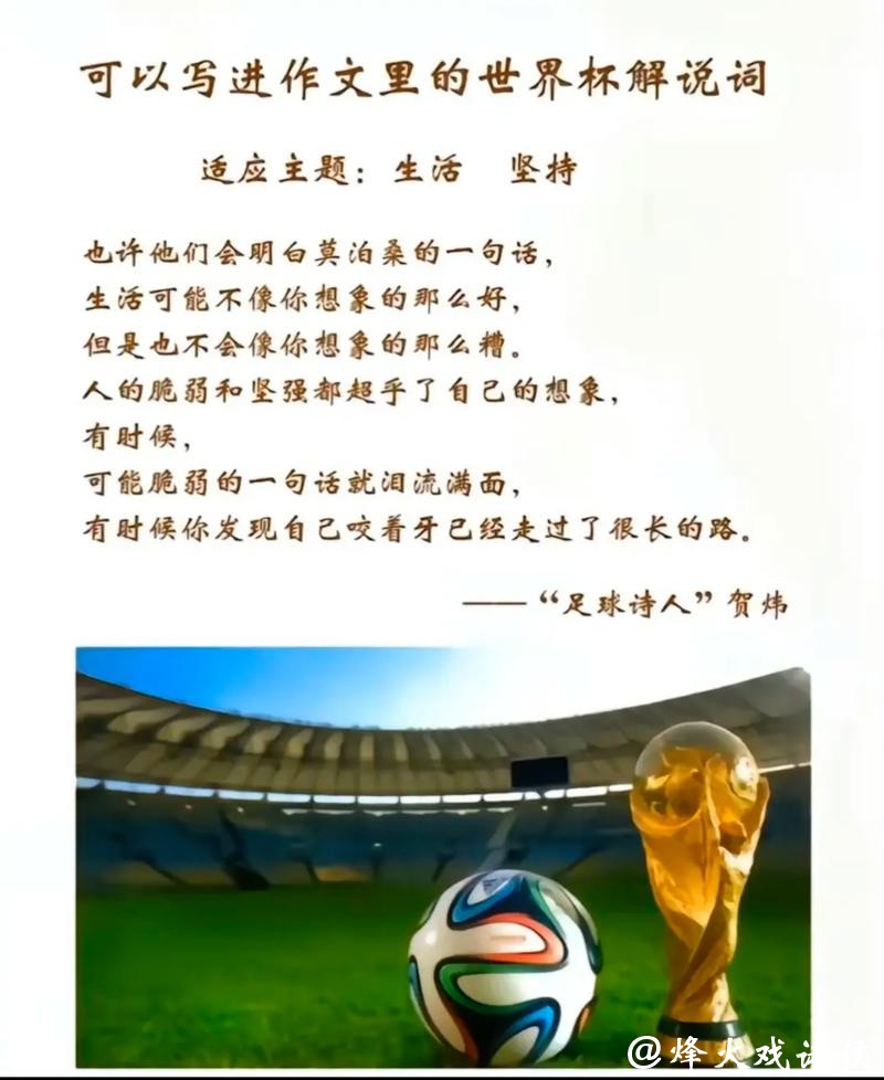 世界杯投注的幕后故事揭秘